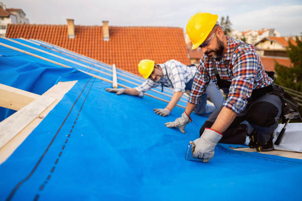 Best Roof Restoration Services  in Ambridge, PA