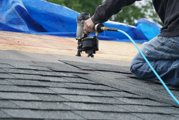 Best Commercial Roofing Services  in Ambridge, PA