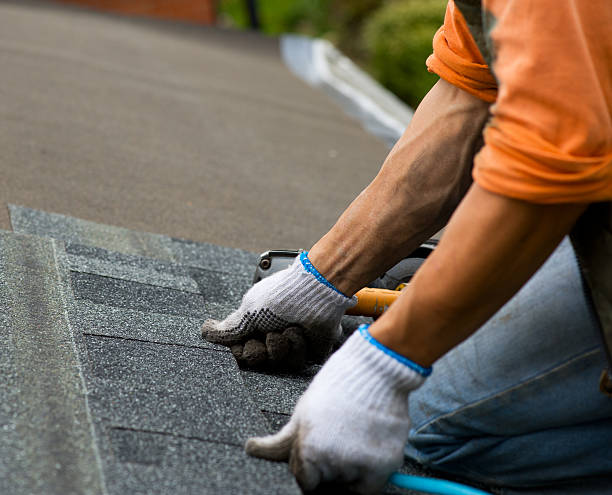 Best Roof Restoration Services  in Ambridge, PA