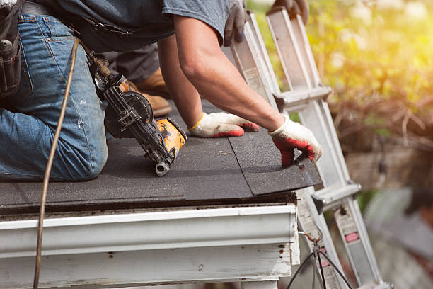 Best Roof Maintenance Services  in Ambridge, PA