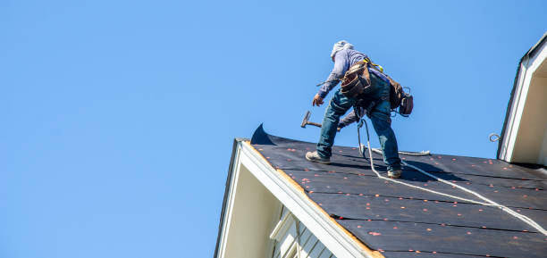 Best Local Roofing Companies  in Ambridge, PA